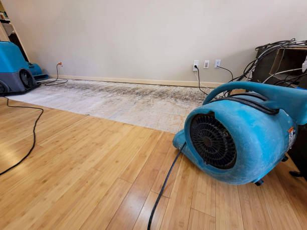 Professional Water Extraction technician working in Mitchell, IL